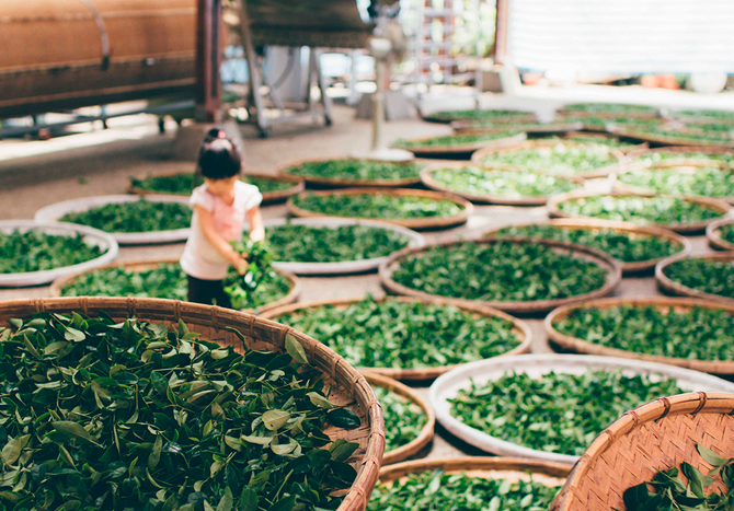 Images for contact us